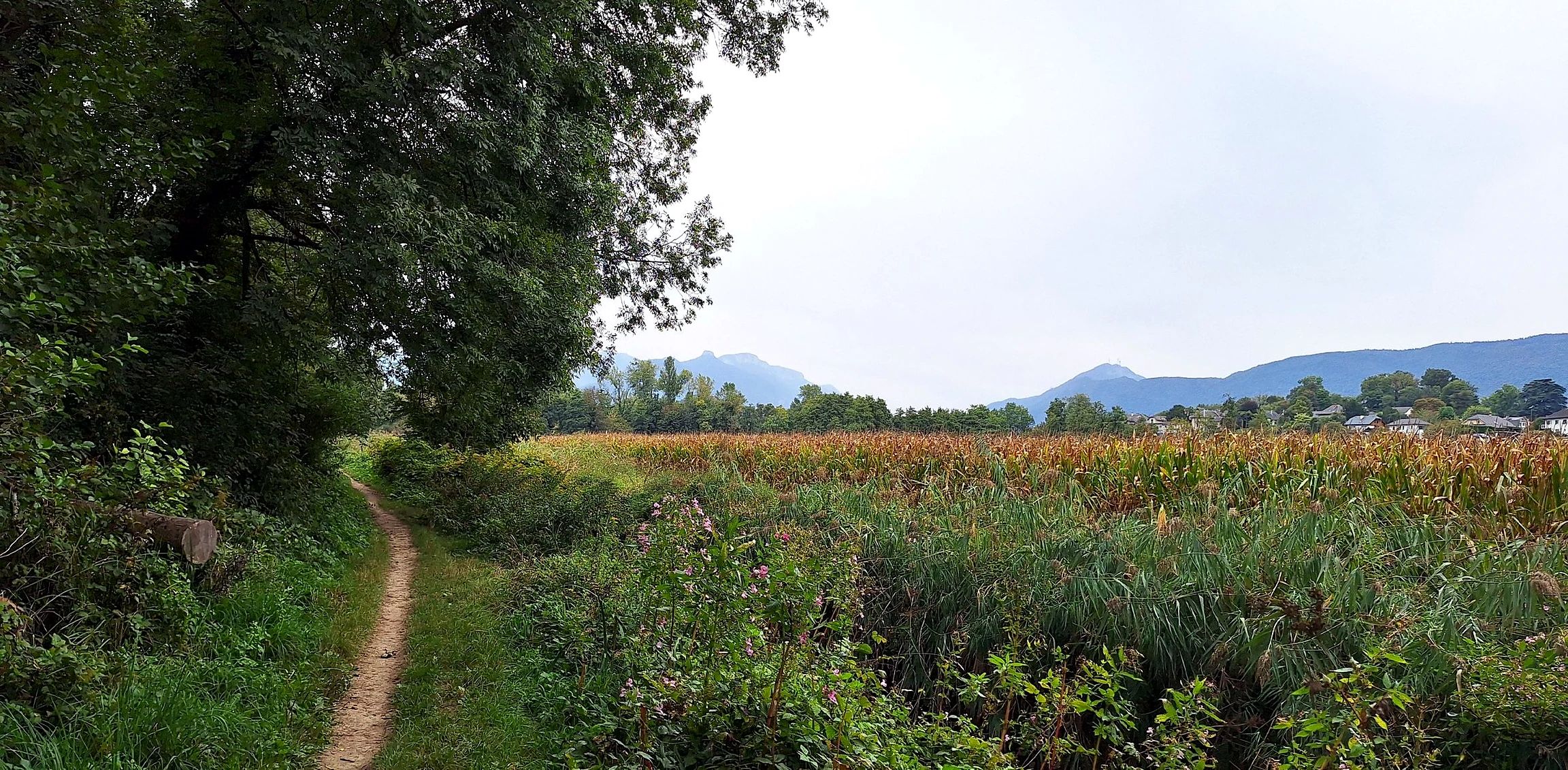 Le Marais de Pré Lombard