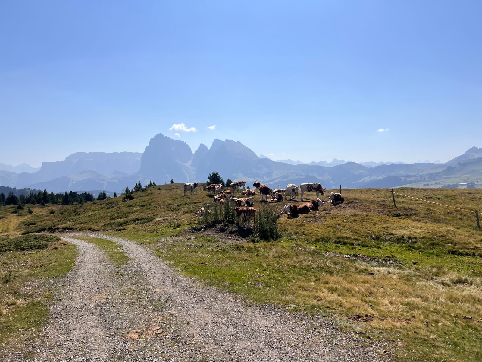 Giro del Bulacia trail