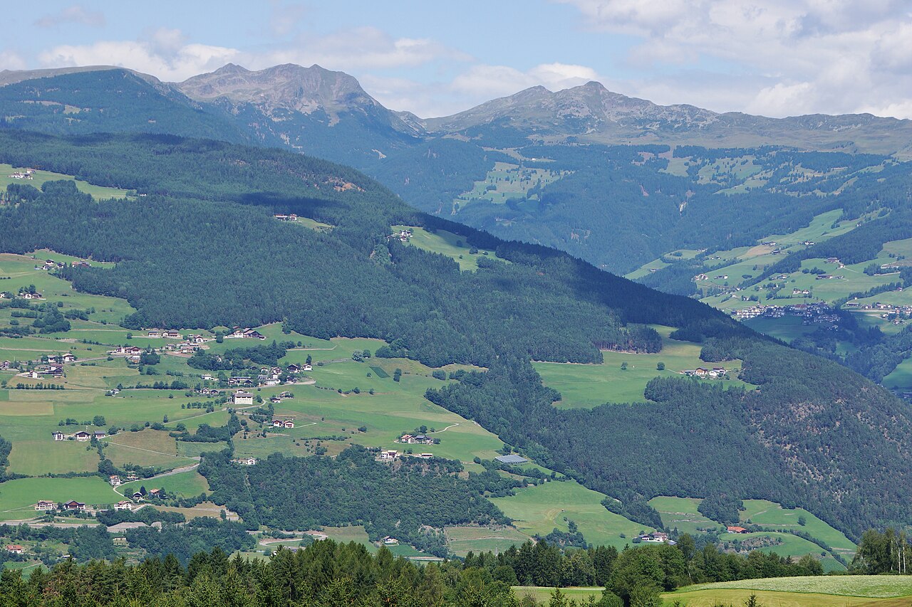 Pasture, scattered farms and spruce forest on the slope above the Eisack valley at Lajen, with the Sarntal ridge behind.