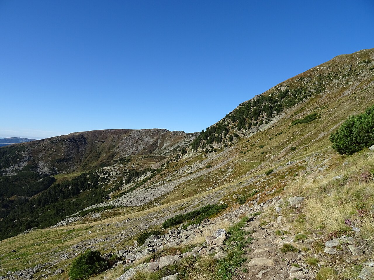 A stony path crossing open alpine grass and dwarf pine on the Durnholz high route, under a clear sky.