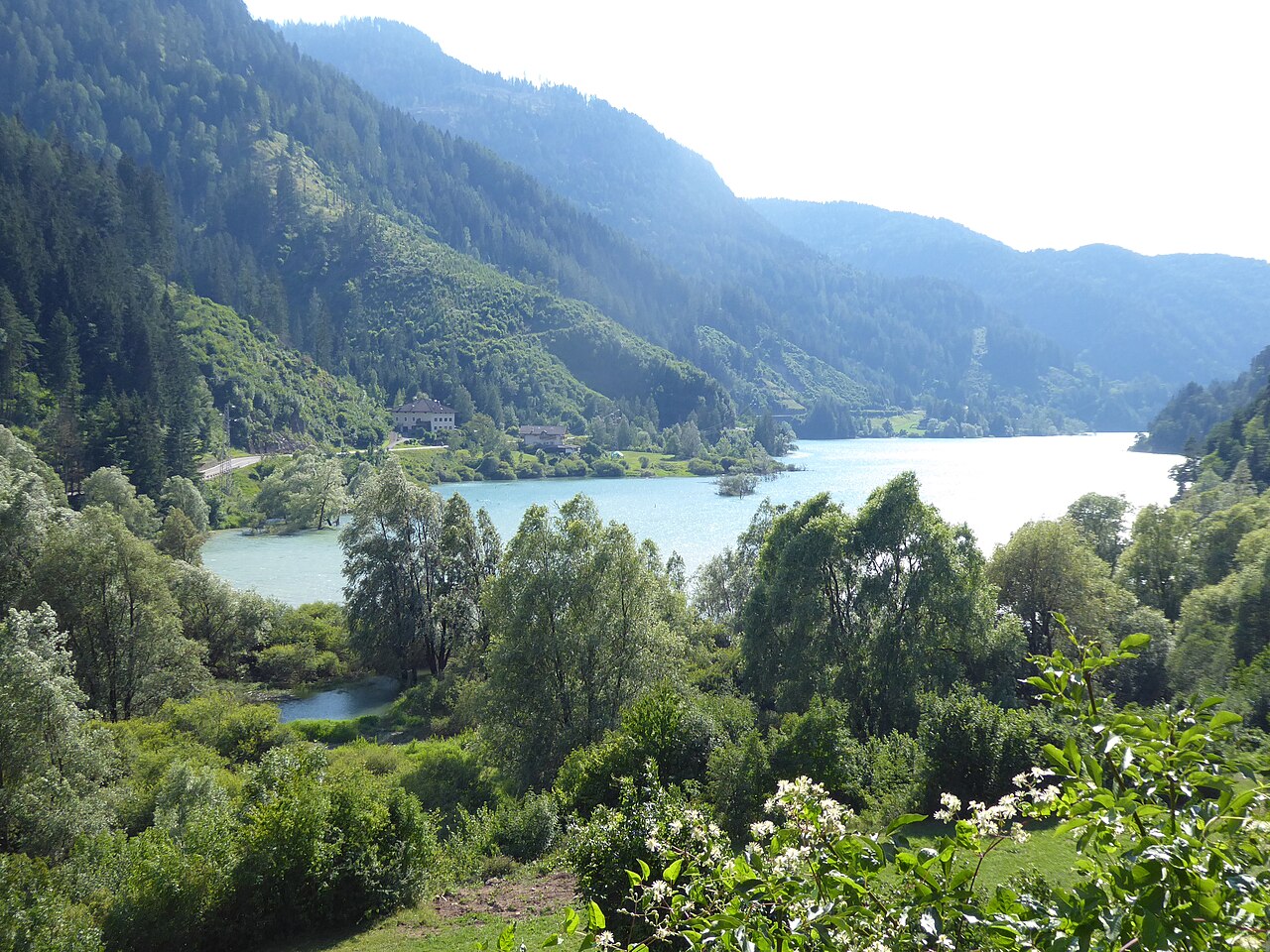 The turquoise water of the Lago di Stramentizzo between wooded slopes, willows and flowering elder on the near bank.