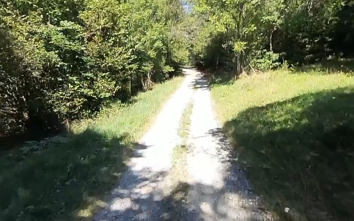 A pale gravel track running away between grass verges and hazel under dappled September light above Montandré
