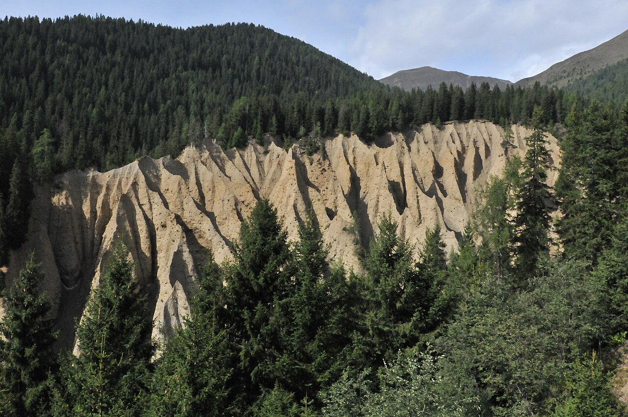 The earth pyramids at Toblach, pale eroded pinnacles standing below a spruce forest with green slopes and a ridge behind.