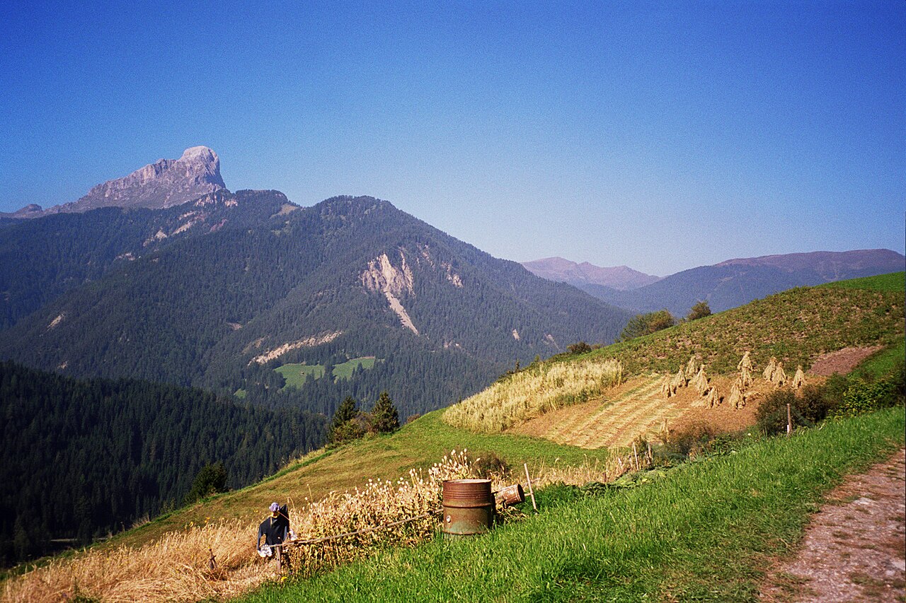 The rock tower of the Peitlerkofel above wooded ridges, seen across a hand-harvested corn field with stooks drying on the slope.