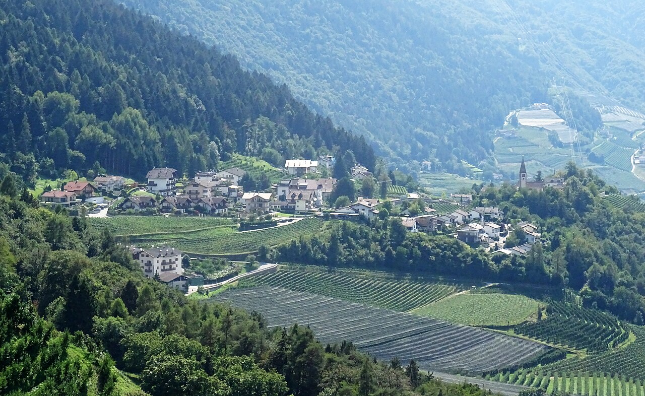 The village of Buchholz among vineyards and orchards on a wooded slope, its church tower standing above the terraces.