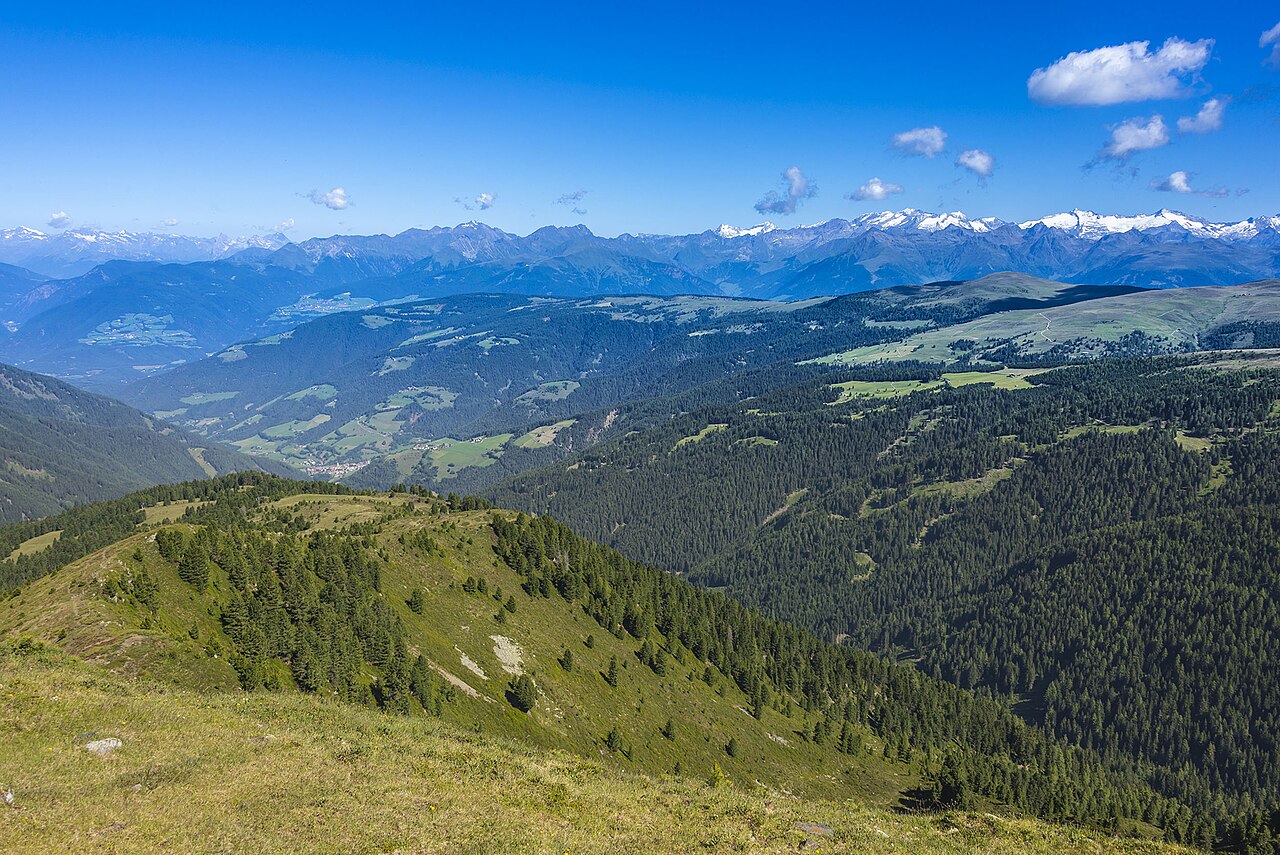 Open pasture and spruce on the Luesner Alm, looking across forested slopes to snow on the far range.