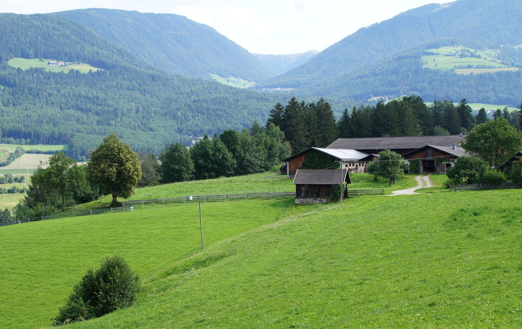 Mown meadow and a wooden hay barn on the Reischach terrace, with the Pustertal receding between wooded ridges