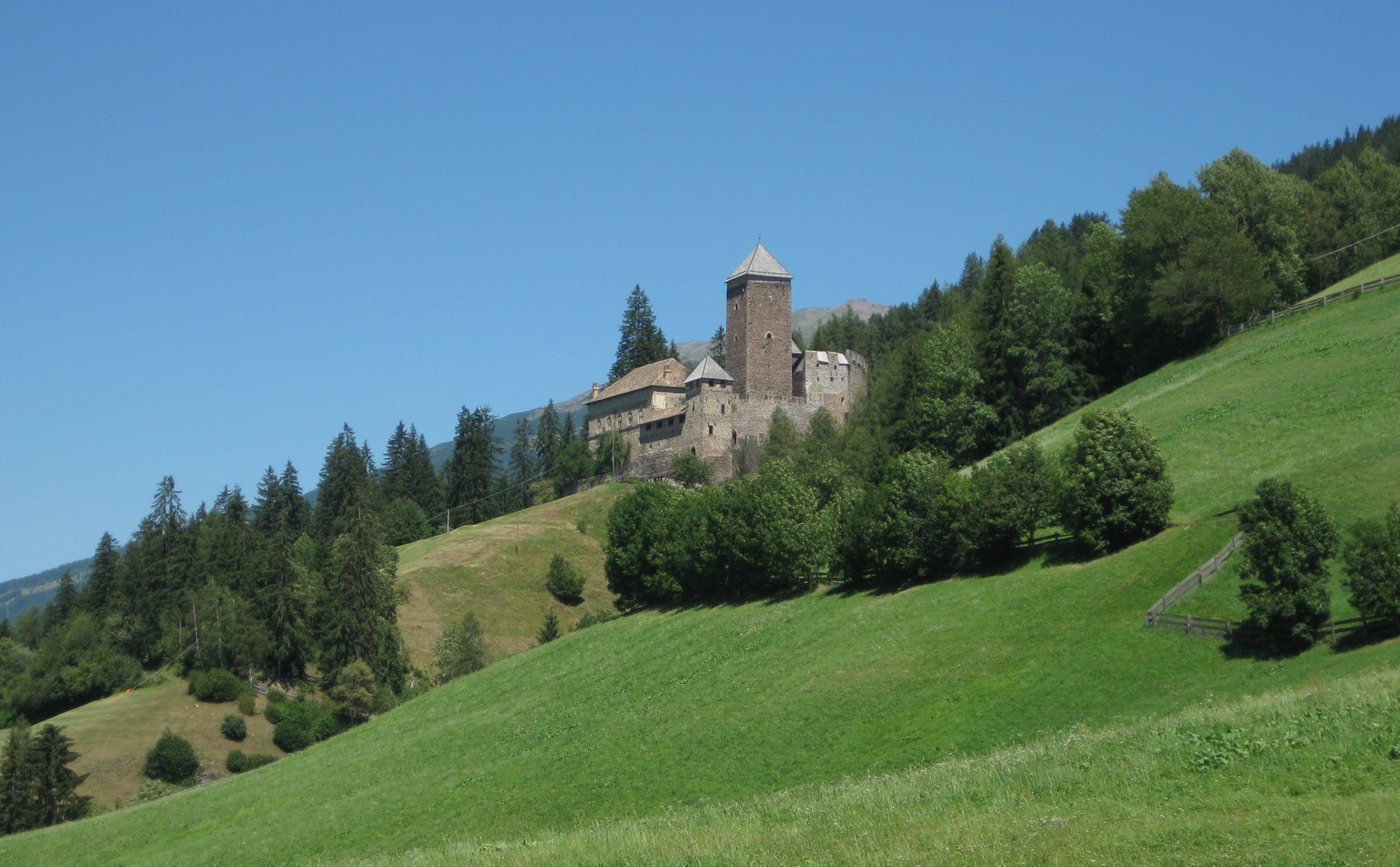 Mown hay meadow rising to Schloss Reinegg on its wooded spur above the Sarn valley