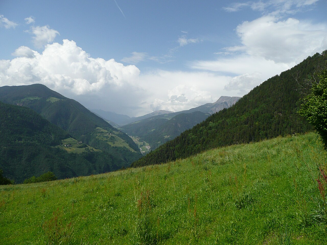 A hay meadow on the valley side above Sarnthein, the Sarntal opening below between forested slopes with farms scattered on the far side.