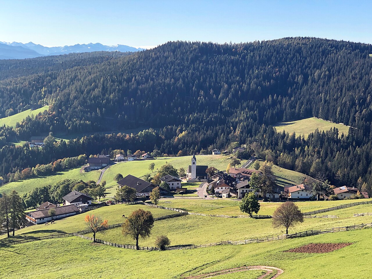The hamlet of Flaas in October, fenced pasture and turning larch around it, spruce forest above and distant snowy peaks beyond.