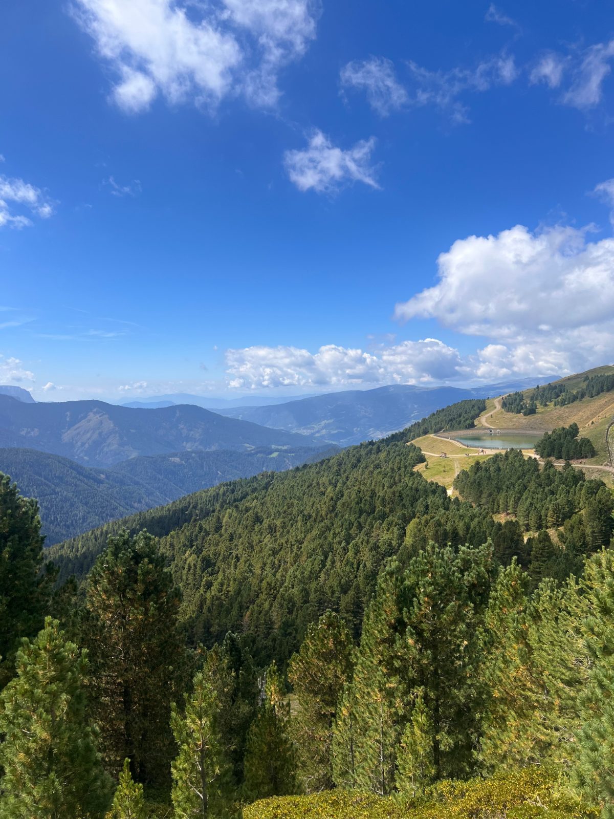 Panoramaweg trail