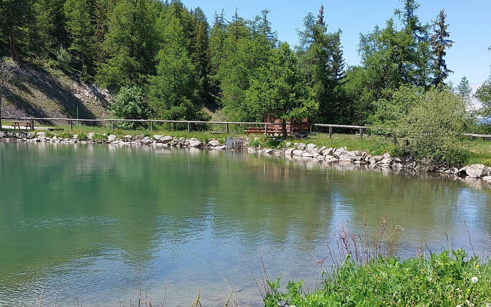 Lac de Pramol in June, its stone-edged shore below a rail fence and a log shelter among larches, with a wooded slope behind
