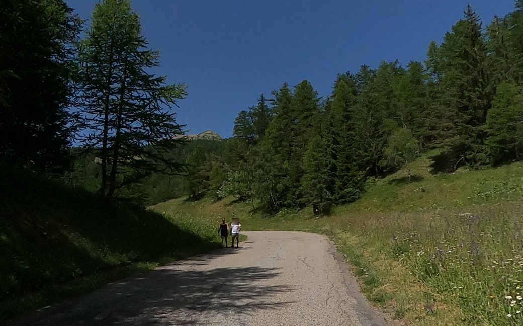 Two walkers on the mountain lane below the Croix de Pralognan, a flowery meadow bank on the right and larch and spruce above