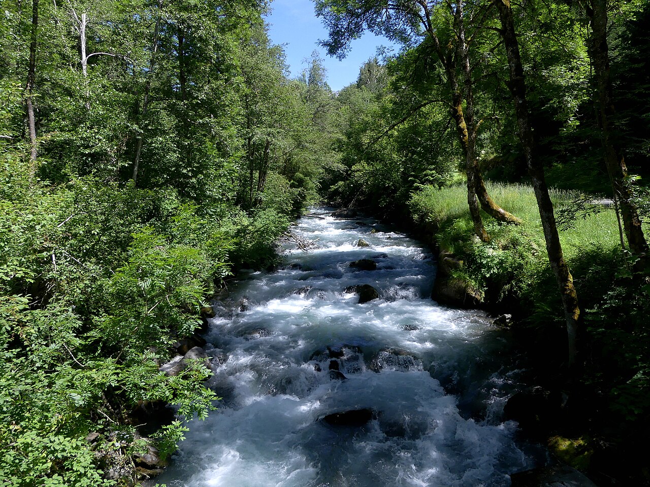 The Isère running white over rocks through riverside woodland at Séez, alder and ash closing in on both banks.