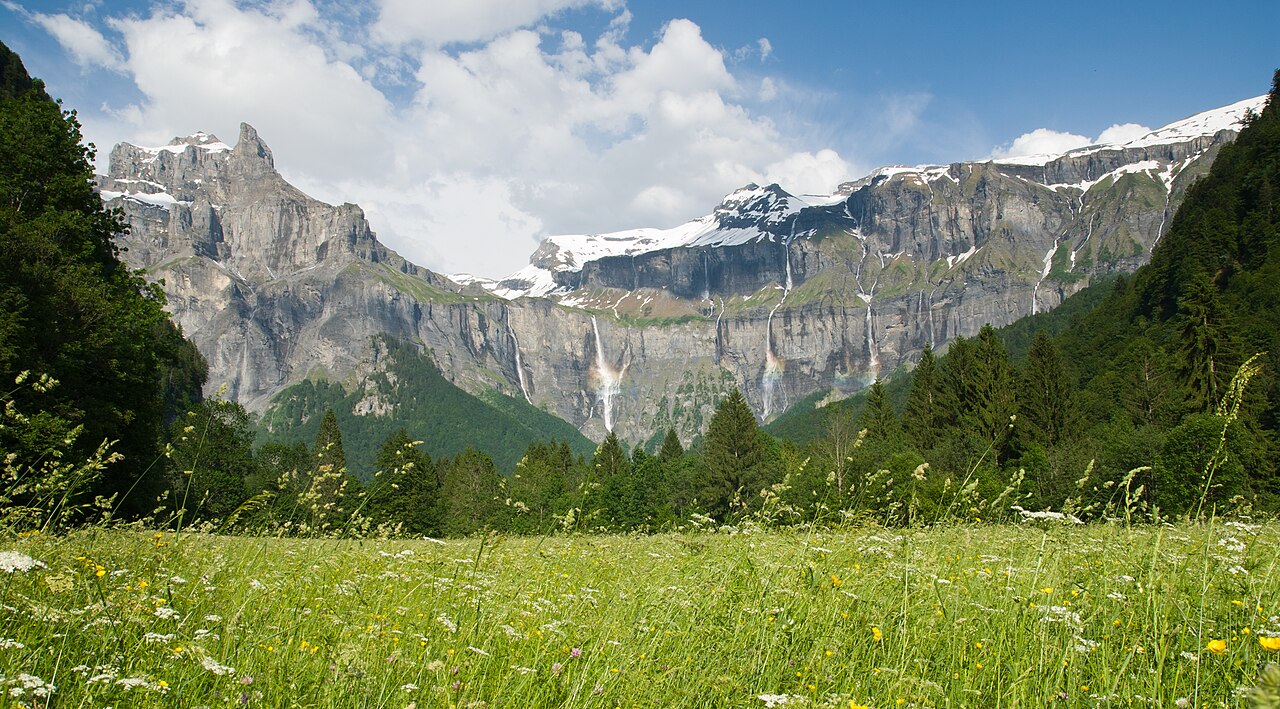 A flowering summer meadow below the limestone walls of the Cirque du Fer-a-Cheval, with waterfalls falling from the rim.