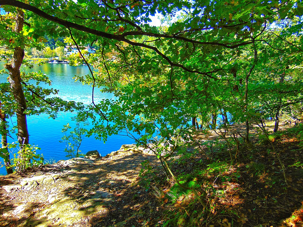 A shoreline path under oaks beside the blue water of the larger Monticolo lake.