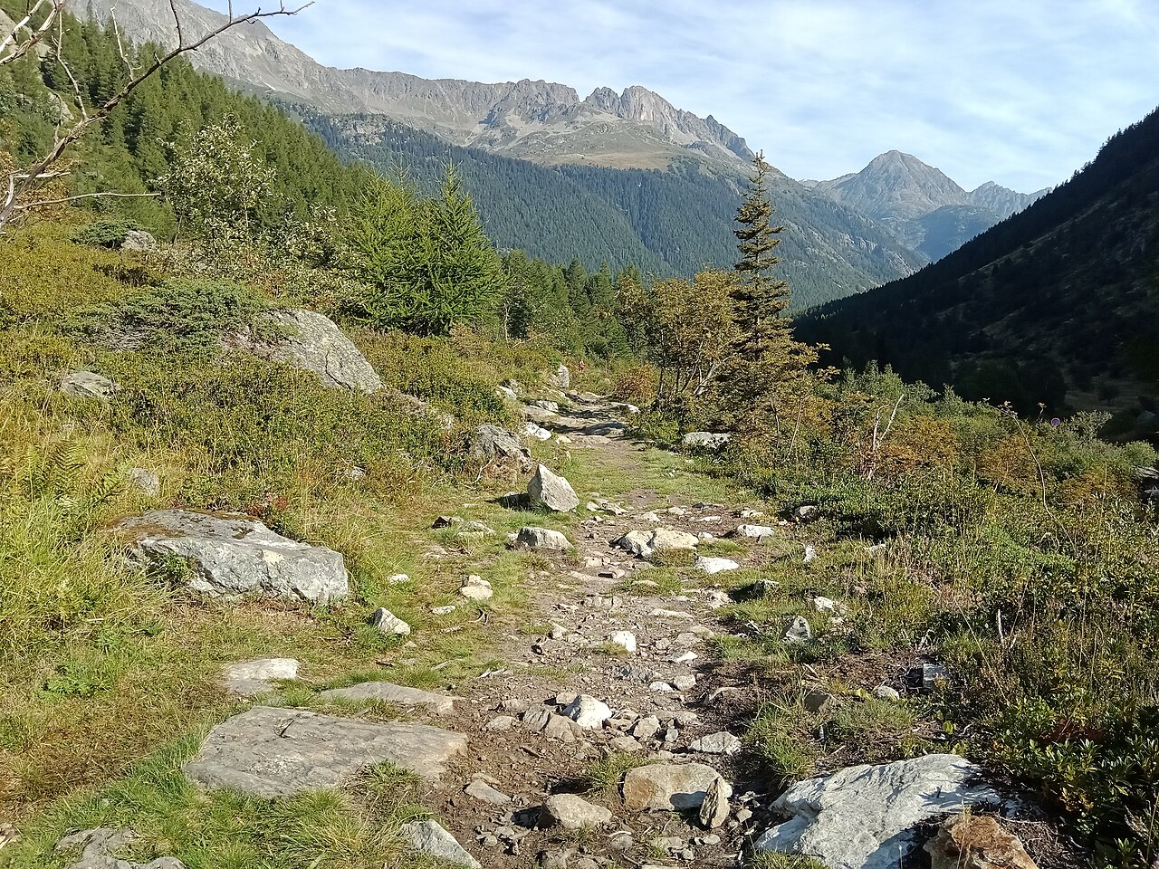 The stony footpath at the Col des Montets above Vallorcine, alpine scrub and larch on either side and a rock ridge across the valley.