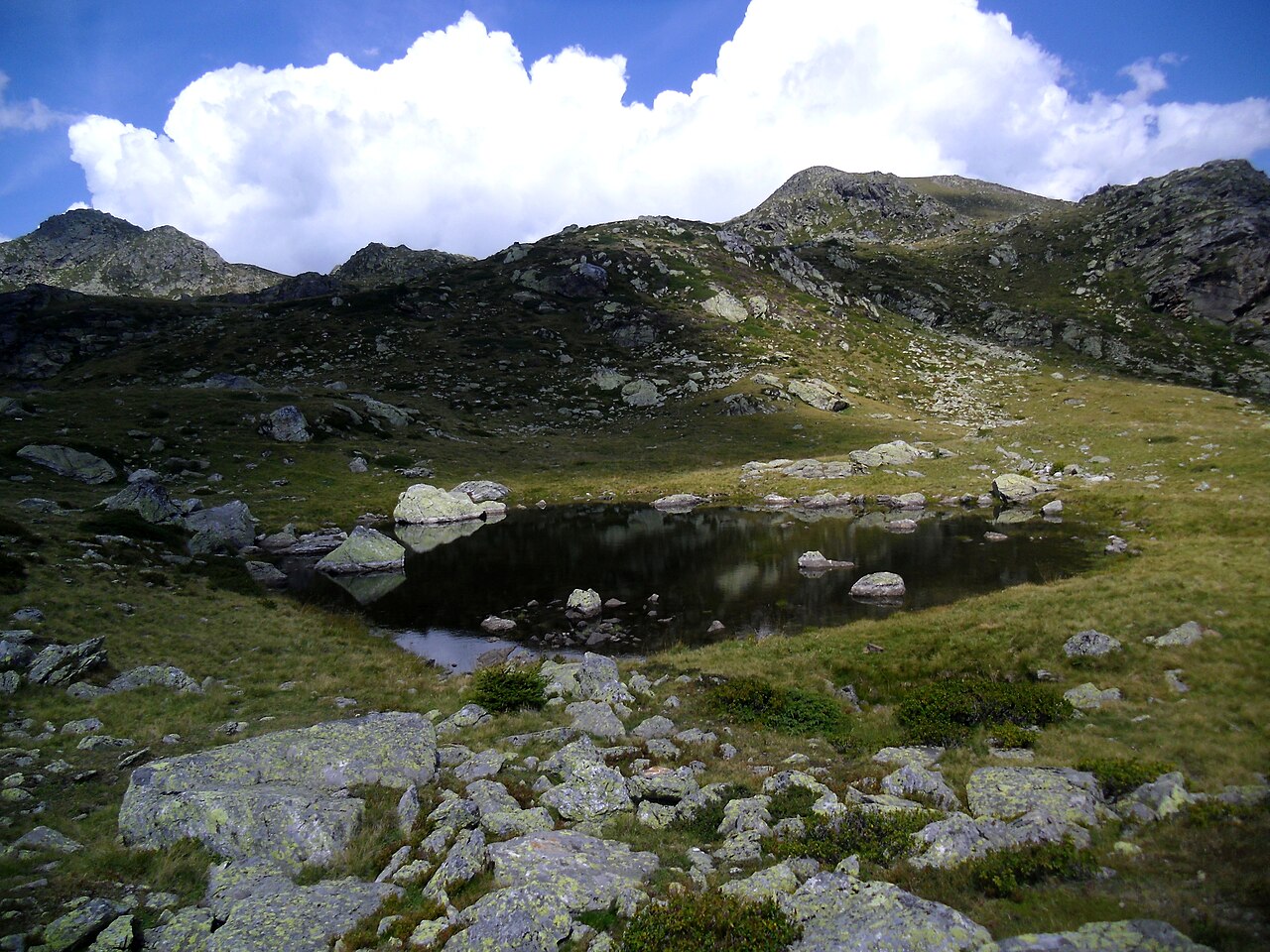 A small tarn among lichen-covered boulders and alpine grass above the Plattner Alm, with a rocky ridge behind it.