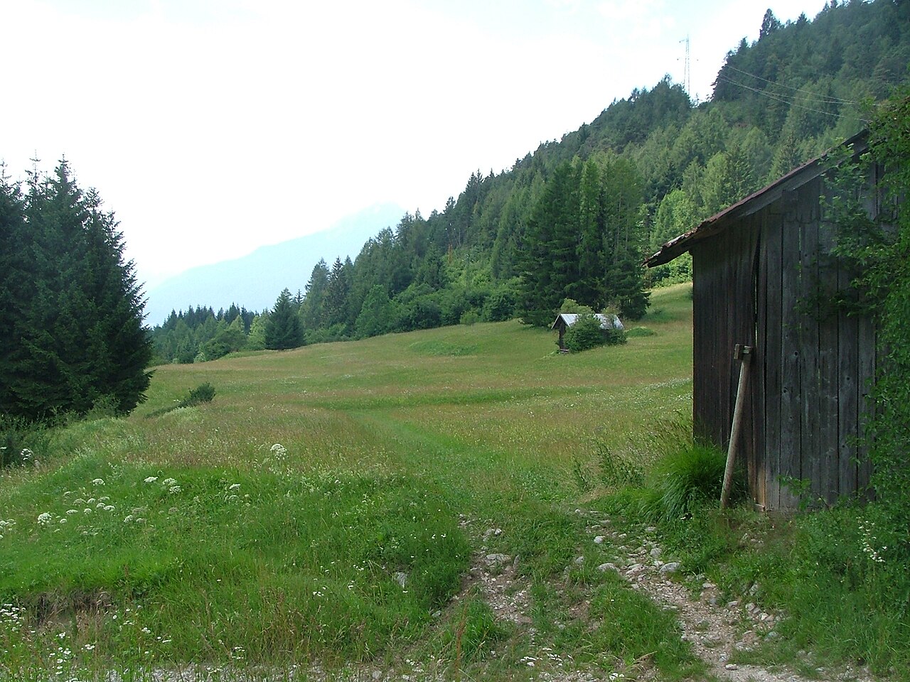 A grass track through the hay meadows at Somacros above Domegge, an old timber hay barn beside it and spruce forest closing the valley.