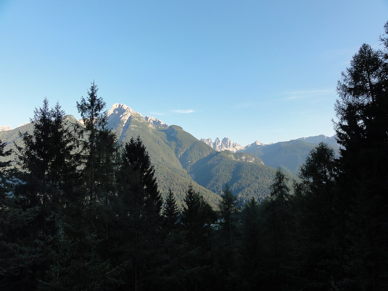 Spruce forest in silhouette above Auronzo with the Montanel and the Spalti di Toro catching low sunlight behind.