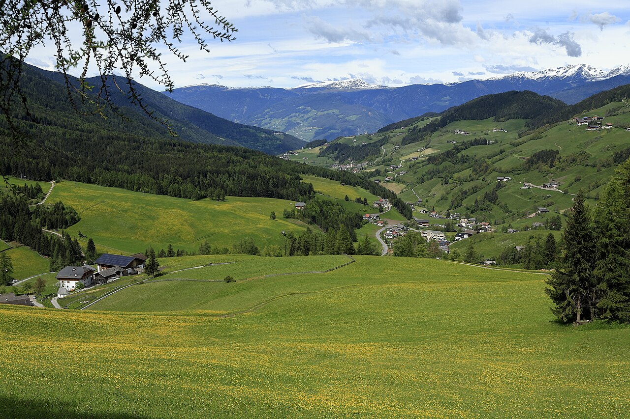 A meadow of yellow flowers above St. Magdalena, with farmhouses scattered across the valley slopes.