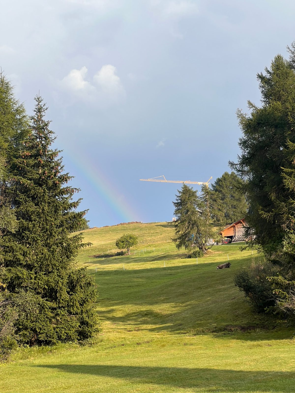 Sentiero Hans e Paula Steger trail